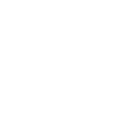 Handshake icon